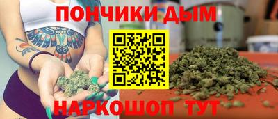 индика Краснознаменск