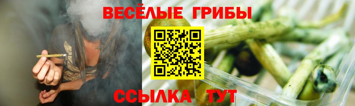 Псилоцибиновые грибы мицелий  Вход с VPN  Тавда 